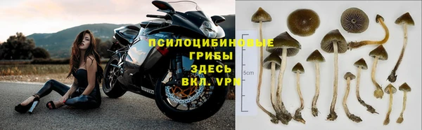 соль ск Аркадак