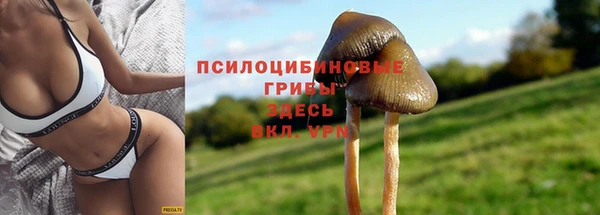 экстази Армянск
