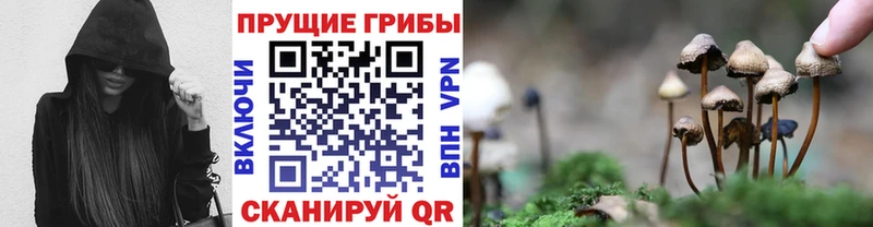 это Telegram  сколько стоит  Афипский  Псилоцибиновые грибы мухоморы 